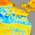 Primavera começa sem La Niña no Pacífico, mas até quando?
