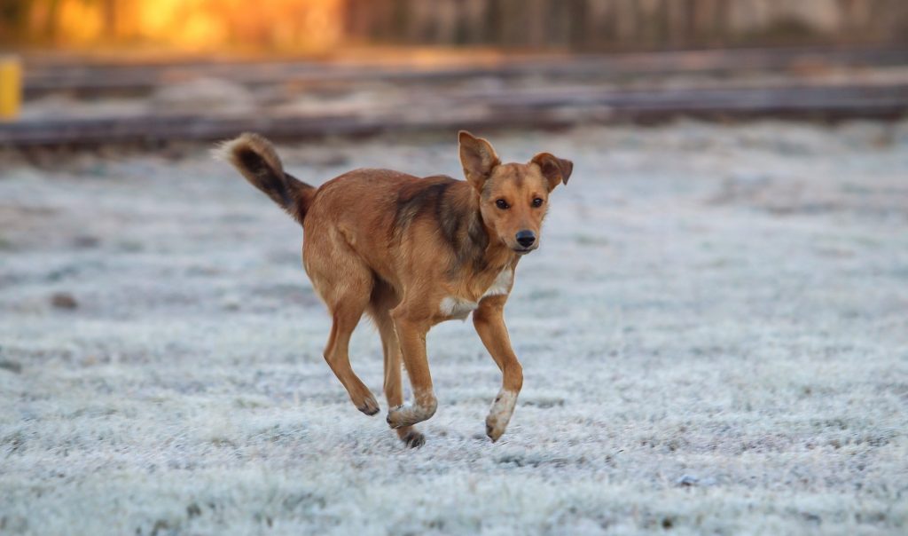 Frio aumenta e primeiro fim de semana de setembro começa gelado