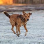 Frio aumenta e primeiro fim de semana de setembro começa gelado