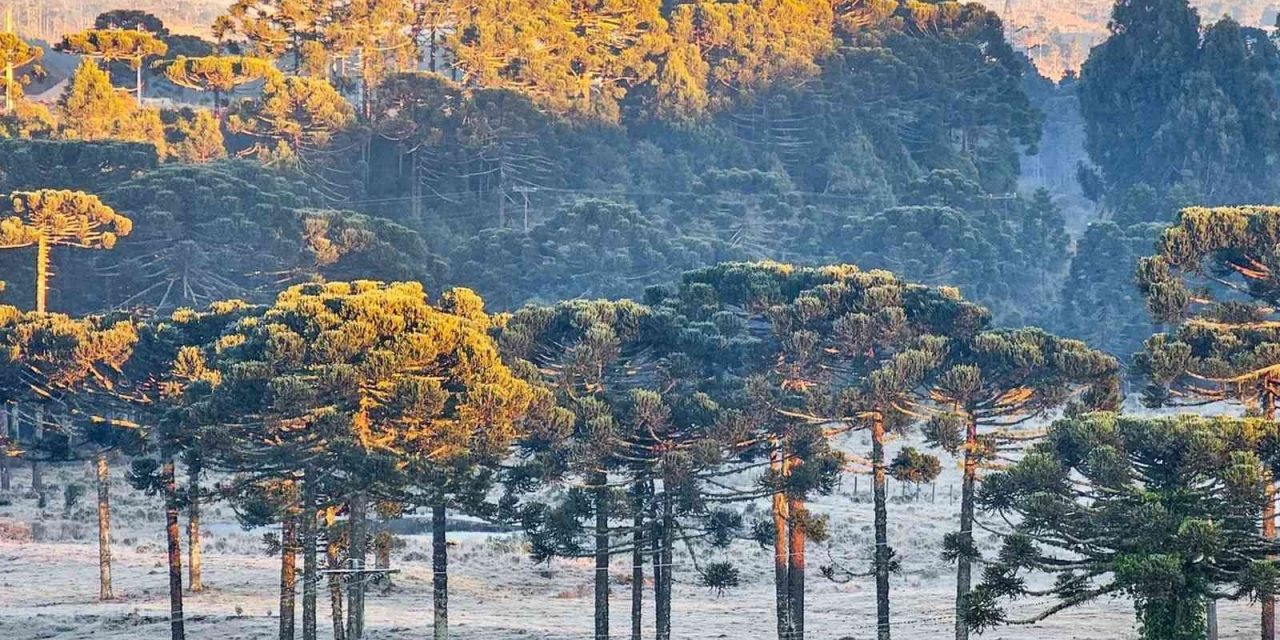 <span class="entry-title-primary">Primeira madrugada da primavera tem frio abaixo de zero e geada</span> <h2 class="entry-subtitle">Primavera no Sul do Brasil começa sob a influência de uma massa de ar frio com temperatura baixa à noite e geada </h2>