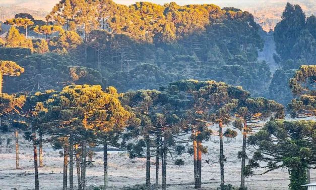 Primeira madrugada da primavera tem frio abaixo de zero e geada