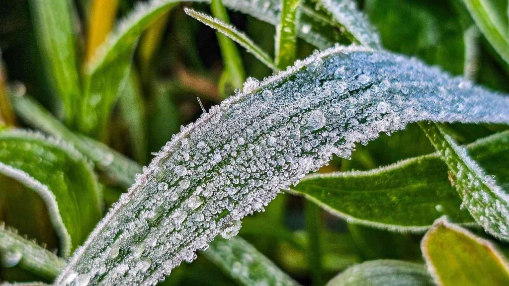 Frio persiste no fim de setembro com mínimas de até 0ºC