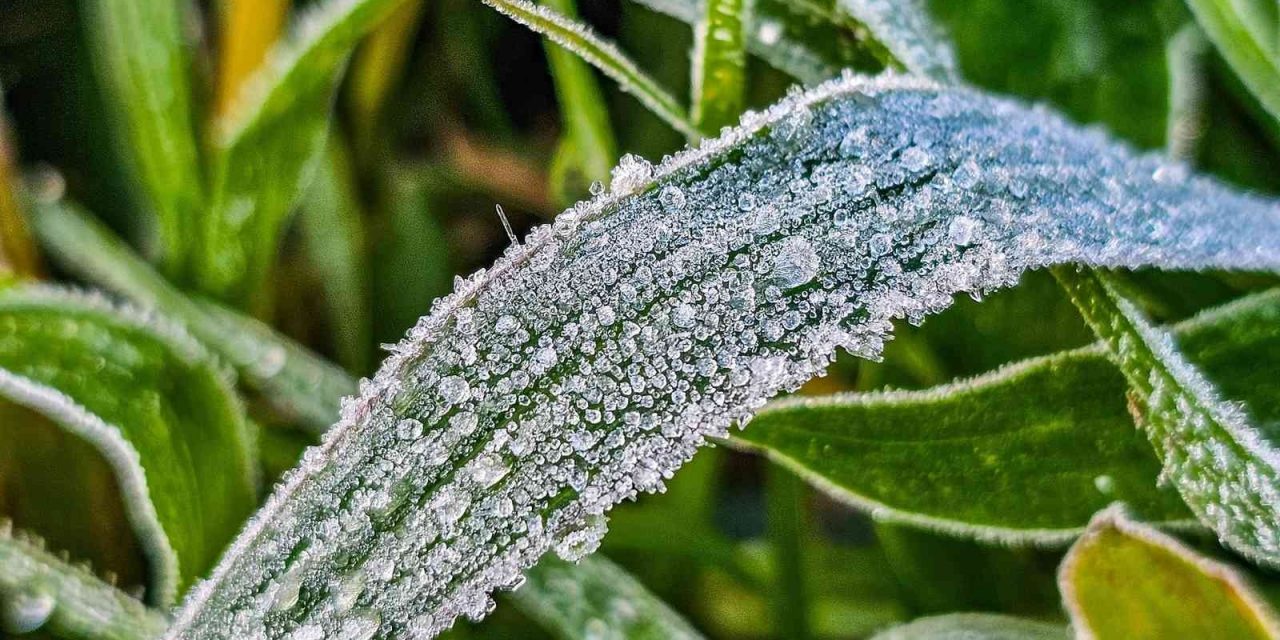 <span class="entry-title-primary">Frio persiste no fim de setembro com mínimas de até 0ºC</span> <h2 class="entry-subtitle">Frio marcou presença no começo desta segunda-feira com geada isolada no Rio Grande do Sul e em Santa Catarina </h2>