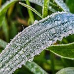 Frio persiste no fim de setembro com mínimas de até 0ºC