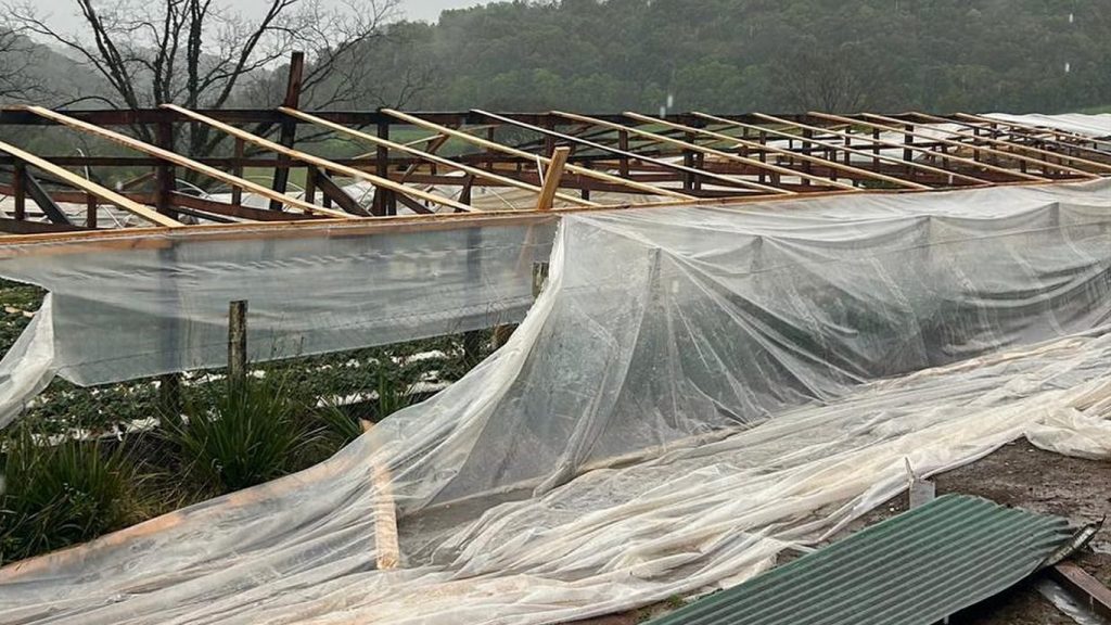 Chuva, vento e granizo causam estragos no RS: veja as cidades atingidas
