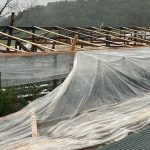 Chuva, vento e granizo causam estragos no RS: veja as cidades atingidas