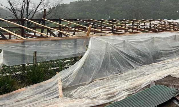 Chuva, vento e granizo causam estragos no RS: veja as cidades atingidas