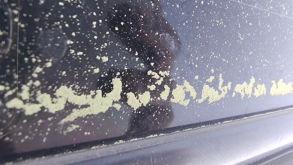 Pó amarelo após a chuva intriga moradores da fronteira gaúcha