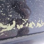 Pó amarelo após a chuva intriga moradores da fronteira gaúcha