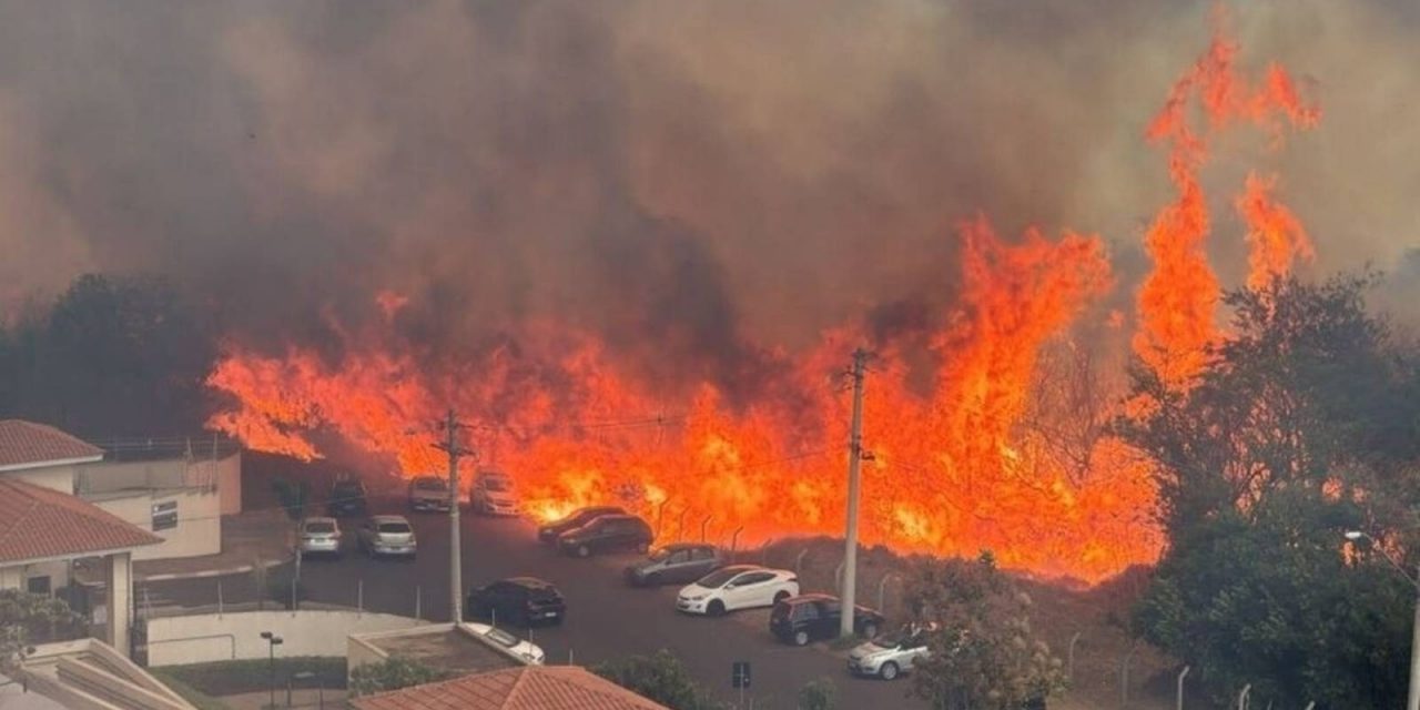 <span class="entry-title-primary">Fogo assusta em São Paulo com combinação de calor, secura e vento</span> <h2 class="entry-subtitle">Combinação explosiva de calor excessivo, vento forte e umidade muito baixa provoca queimadas em São Paulo </h2>