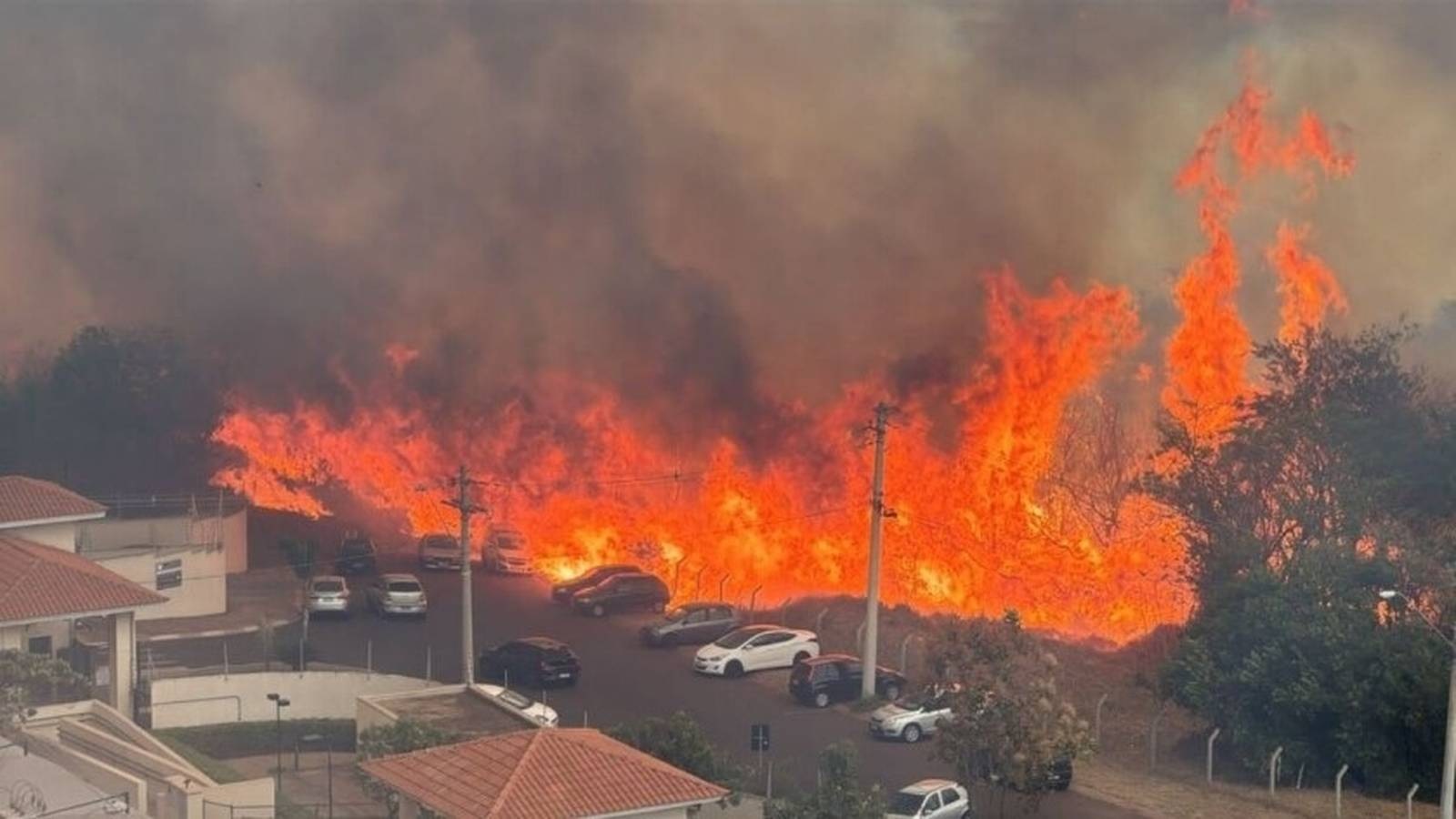 <span class="entry-title-primary">Fogo assusta em São Paulo com combinação de calor, secura e vento</span> <h2 class="entry-subtitle">Combinação explosiva de calor excessivo, vento forte e umidade muito baixa provoca queimadas em São Paulo </h2>