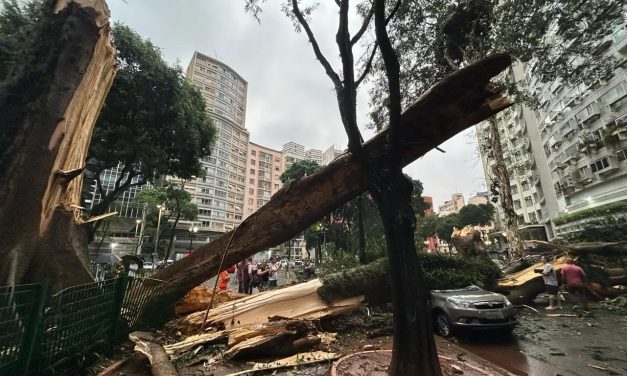 Cenário de perigo por intensos vendavais no Sul, Sudeste e Centro-Oeste