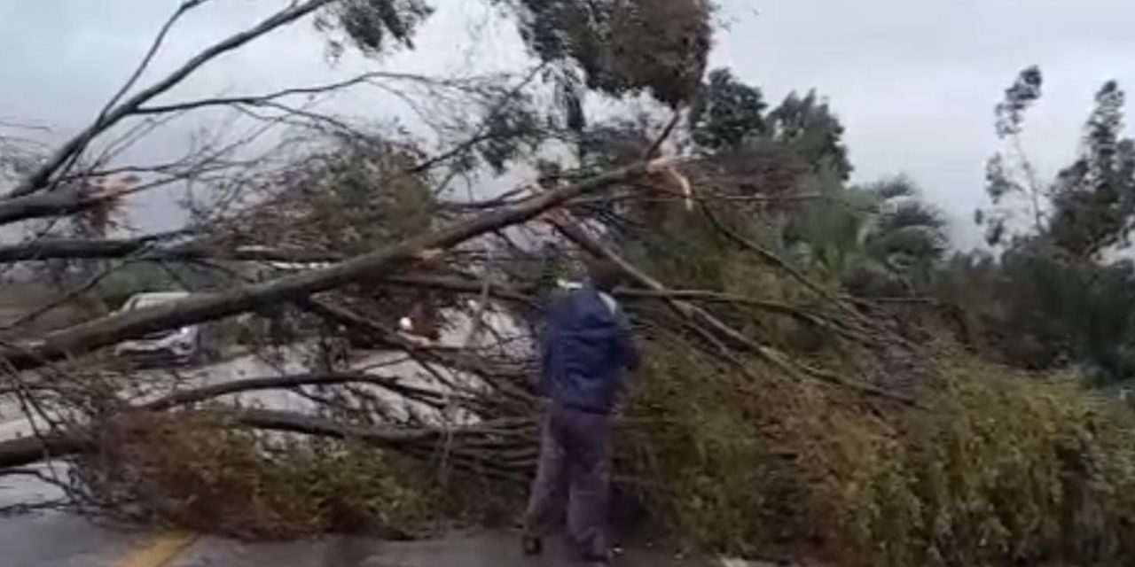 <span class="entry-title-primary">Tornado pode ter atingido o extremo Sul do Rio Grande do Sul</span> <h2 class="entry-subtitle">Tornado é a provável causa dos estragos em zona rural de Santa Vitória do Palmar com queda de árvores e torres de linhas de tranmissão </h2>