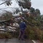 Tornado pode ter atingido o extremo Sul do Rio Grande do Sul