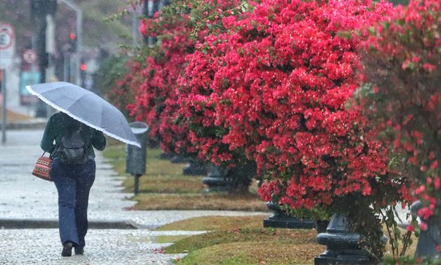 Chuva todos os dias até a metade da próxima semana no Sul do Brasil