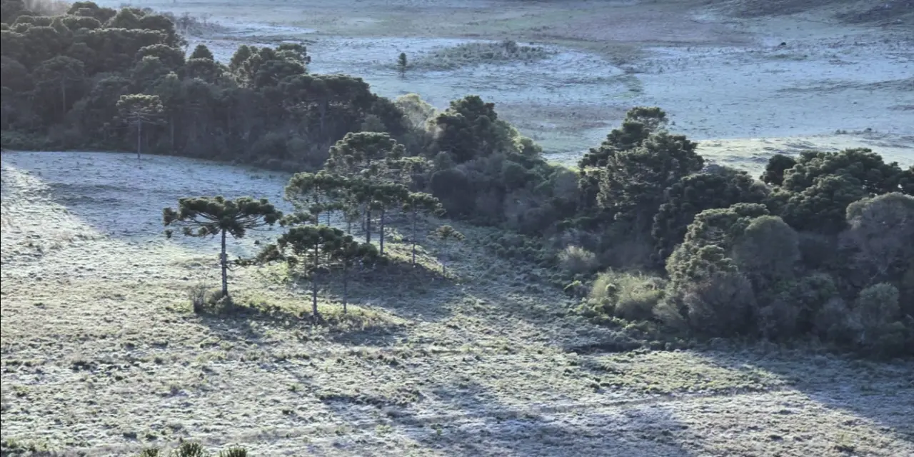 <span class="entry-title-primary">Frio abaixo de zero cobre paisagem de gelo em pleno outubro</span> <h2 class="entry-subtitle">Frio abaixo de zero marcou o começo desta quarta-feira no Sul do Brasil com formação de geada no Rio Grande do Sul e Santa Catarina</h2>