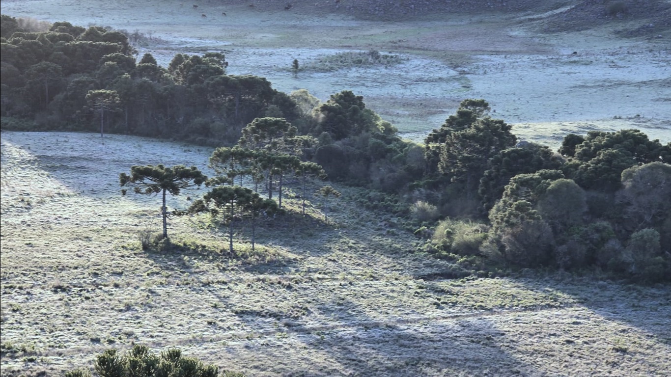 <span class="entry-title-primary">Frio abaixo de zero cobre paisagem de gelo em pleno outubro</span> <h2 class="entry-subtitle">Frio abaixo de zero marcou o começo desta quarta-feira no Sul do Brasil com formação de geada no Rio Grande do Sul e Santa Catarina</h2>