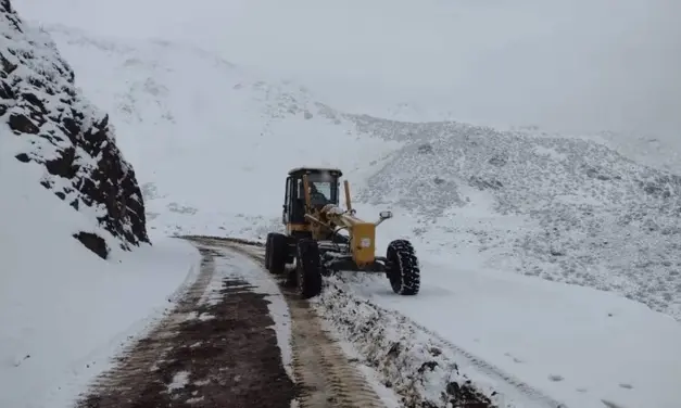 Grande massa de ar frio avança pelo interior da América do Sul com neve e gelo