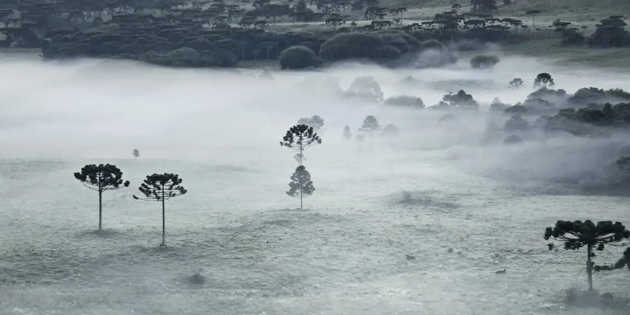 <span class="entry-title-primary">Frio aumenta e quarta-feira começa com marcas de inverno e geada</span> <h2 class="entry-subtitle">Frio aumenta com mínimas mais baixas nesta quarta-feira no Sul do Brasil sob atmosfera mais seca e menor nebulosidade </h2>