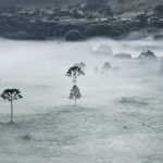 Frio aumenta e quarta-feira começa com marcas de inverno e geada