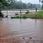 Chuva de quase 200 mm castiga o Litoral Norte; entenda por que tanta chuva