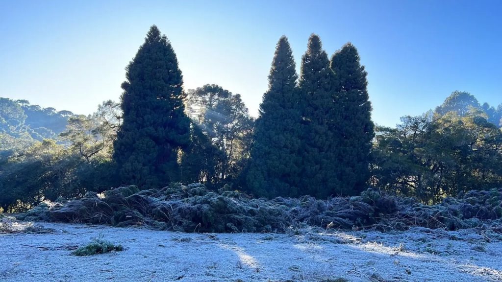 Minas Gerais terá vários dias seguidos de geada com frio de inverno tardio