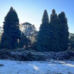 Minas Gerais terá vários dias seguidos de geada com frio de inverno tardio