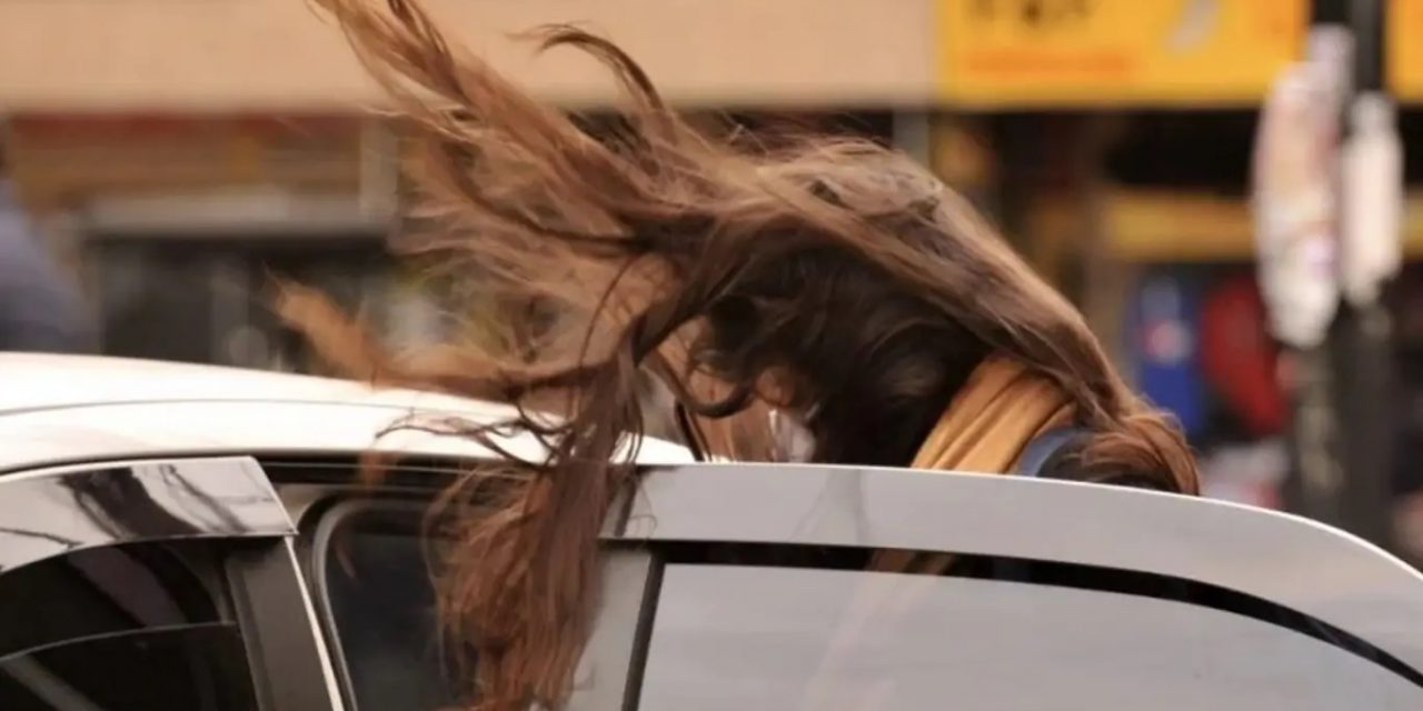 <span class="entry-title-primary">Vento vai soprar com rajadas fortes por vários dias seguidos</span> <h2 class="entry-subtitle">Semana quase toda será marcada por muito vento em Porto Alegre e outras regiões gaúcha como o Litoral Norte </h2>