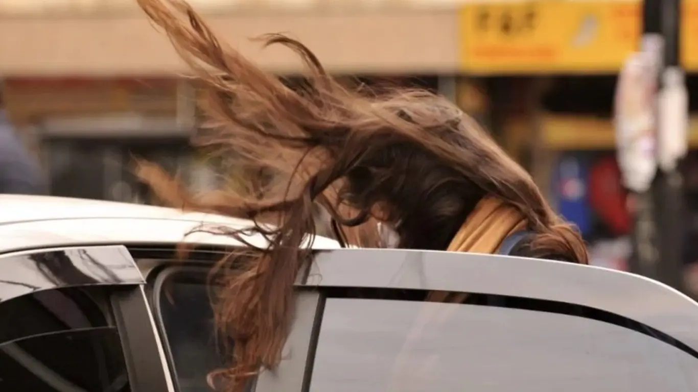 <span class="entry-title-primary">Vento vai soprar com rajadas fortes por vários dias seguidos</span> <h2 class="entry-subtitle">Semana quase toda será marcada por muito vento em Porto Alegre e outras regiões gaúcha como o Litoral Norte </h2>