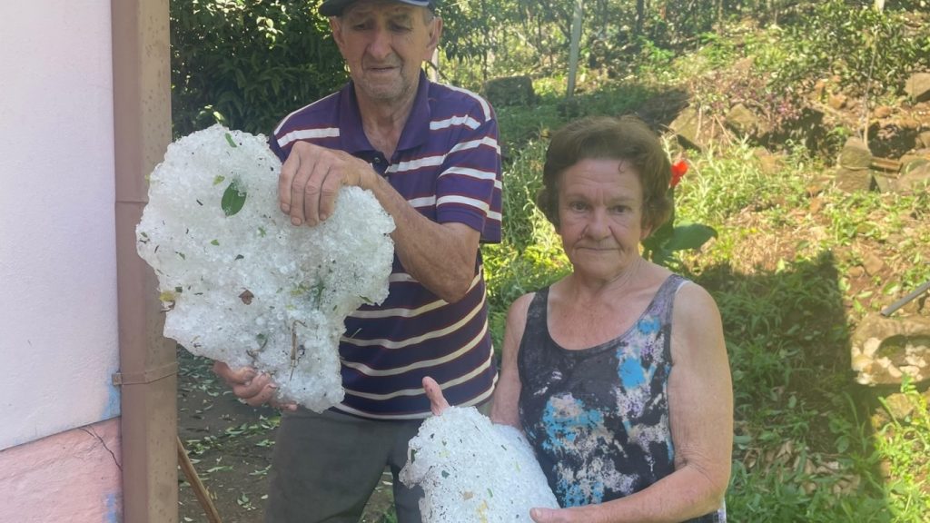 Granizo destrói plantações de uva e causa desolação na Serra Gaúcha