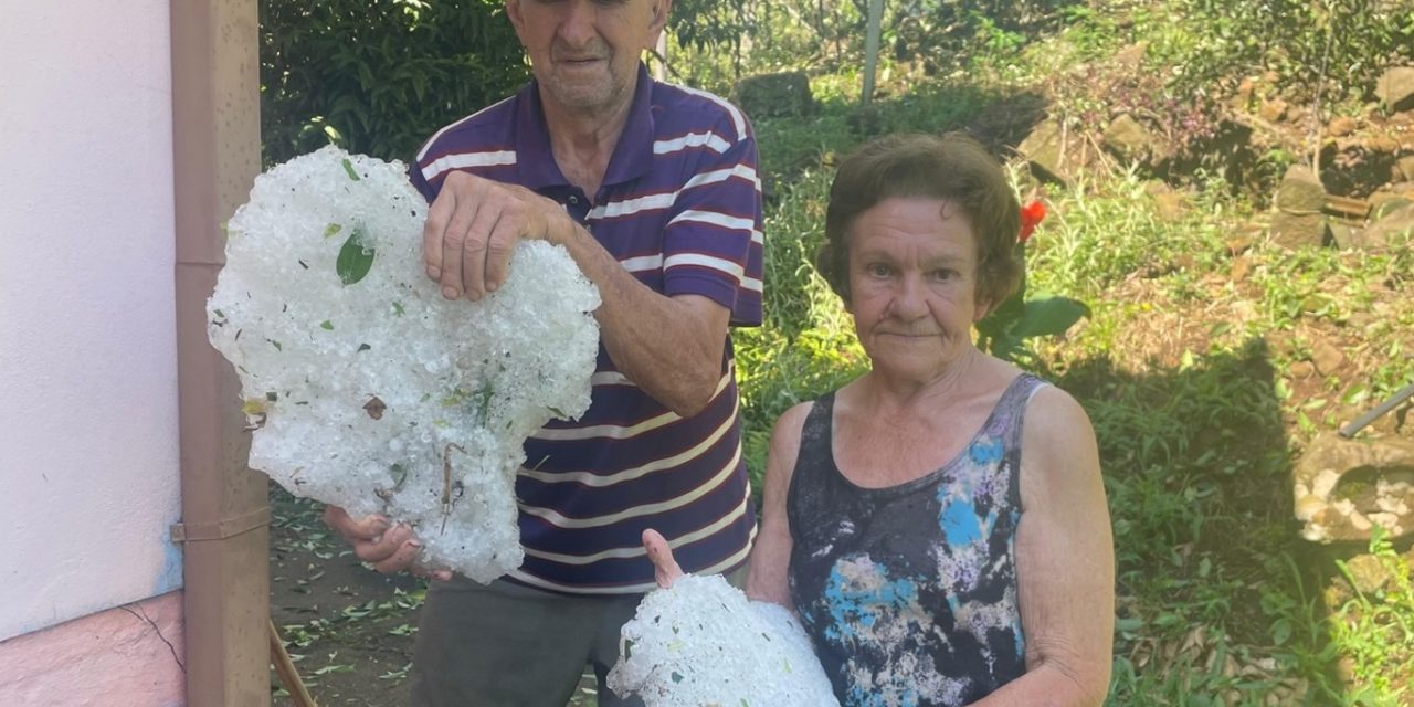 <span class="entry-title-primary">Granizo destrói plantações de uva e causa desolação na Serra Gaúcha</span> <h2 class="entry-subtitle">Tempestade localizada de granizo na madrugada de hoje causou danos para a uva de dois municípios da Serra Gaúcha </h2>