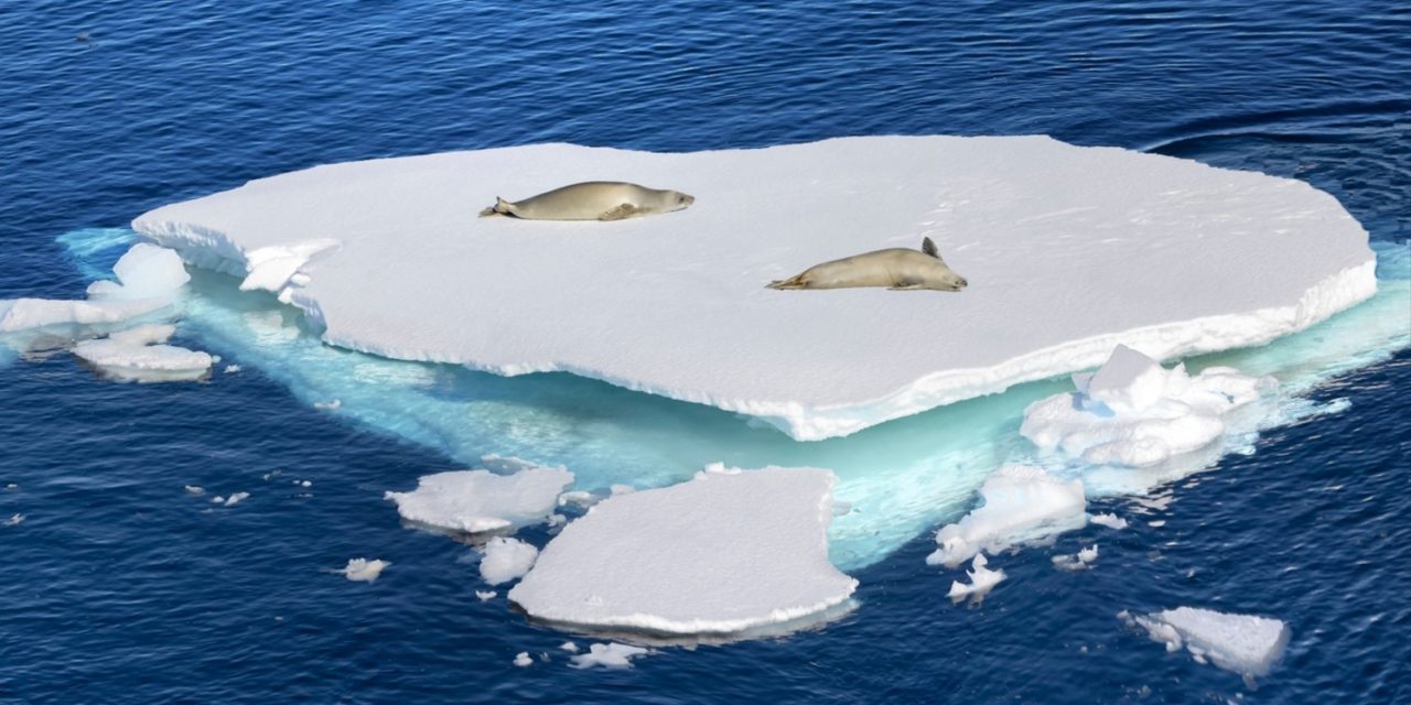 <span class="entry-title-primary">Antártida tem recorde de temperatura e deixa cienstistas em alerta</span> <h2 class="entry-subtitle">Antártida registra temperaturas médias sem precedentes para esta época do ano com redução drástica de gelo marinho </h2>