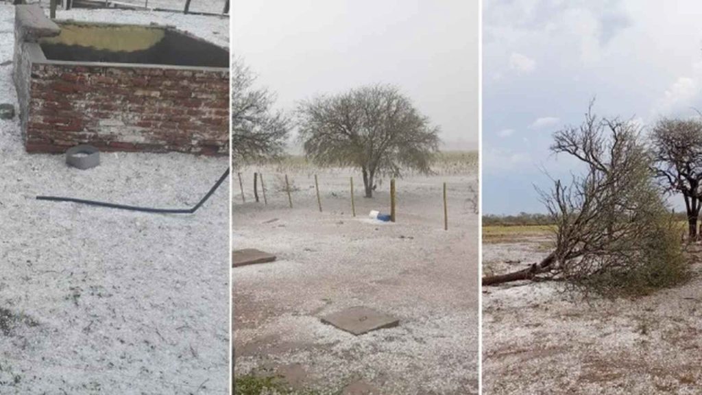 Calor extremo de quase 43ºC provoca tempestades violentas na Argentina