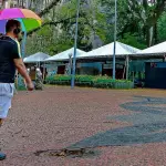 CEEE Equatorial e Feira do Livro divulgam comunicados pelo ciclone