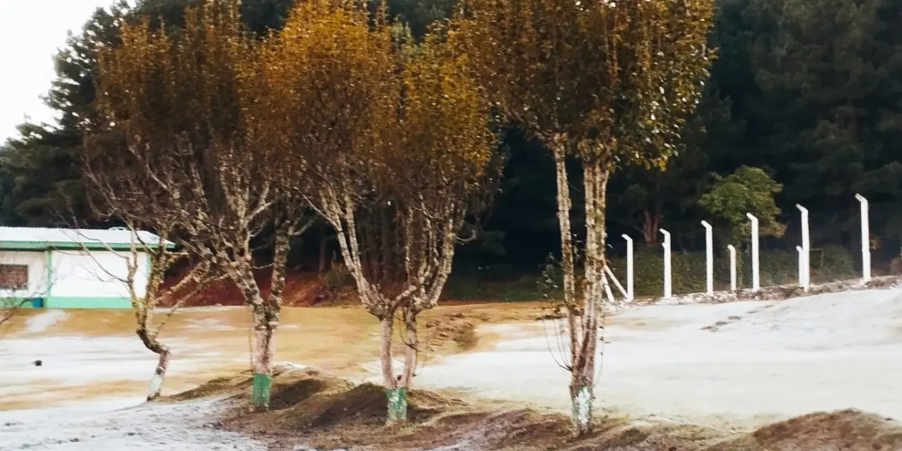 <span class="entry-title-primary">Semana começa com frio de inverno em pleno mês de novembro</span> <h2 class="entry-subtitle">Temperaturas muito mais baixas que o normal para esta época do ano foram registradas no começo desta segunda-feira </h2>