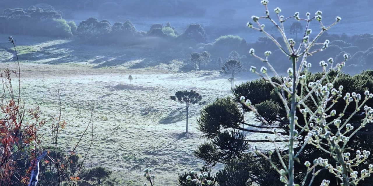 <span class="entry-title-primary">Frio e geada a um mês do Natal; entenda por que tem feito frio tão tardio</span> <h2 class="entry-subtitle">Frio marcou presença e até com formação de geada hoje cedo em cidades mais altas do Rio Grande do Sul e Santa Catarina </h2>