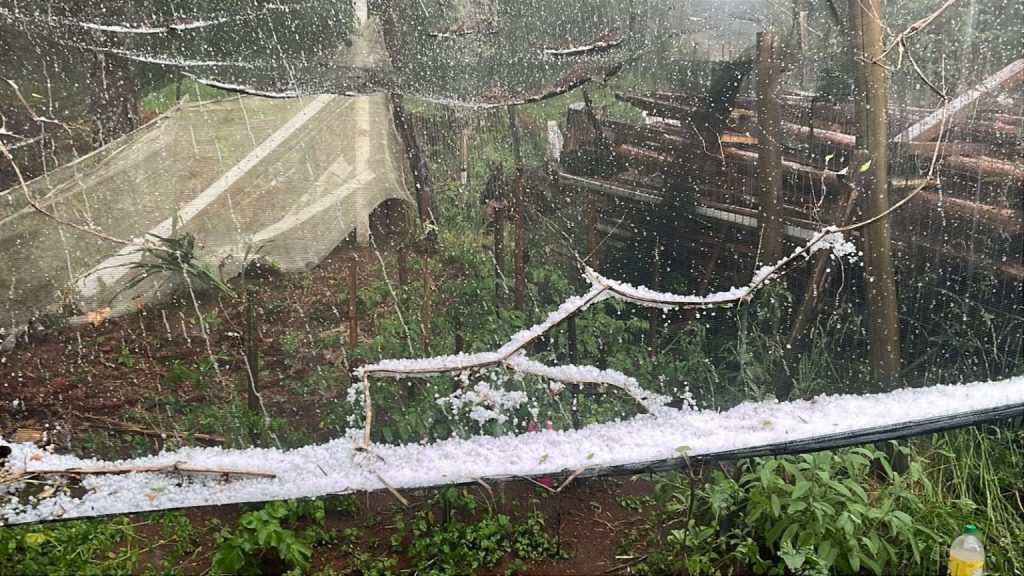 Forte tempestade de granizo atinge a região serrana de Santa Catarina