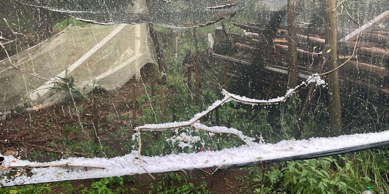 <span class="entry-title-primary">Forte tempestade de granizo atinge a região serrana de Santa Catarina</span> <h2 class="entry-subtitle">Temporal de granizo atingiu na tarde de hoje cidade do Planalto Sul Catarinense e o gelo chegou a acumular </h2>