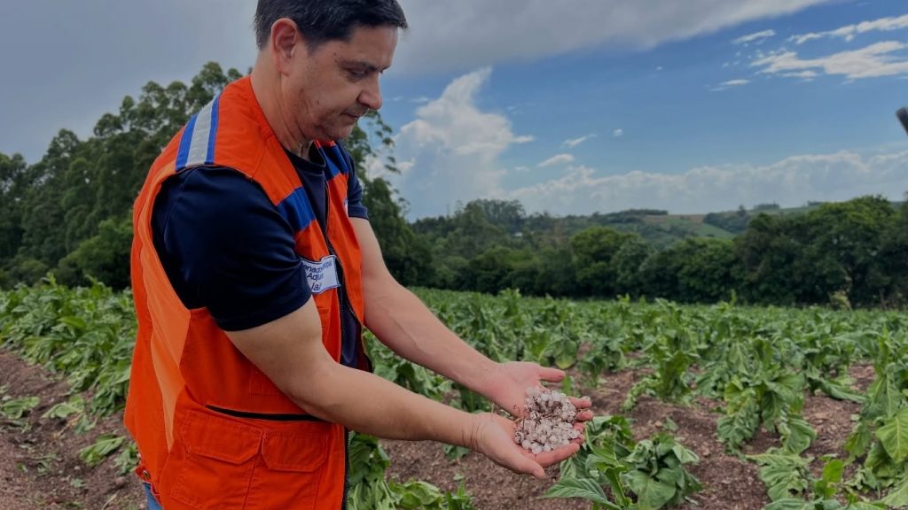 Granizo atinge dezenas de municípios, arrasa lavouras e deixa prejuízos