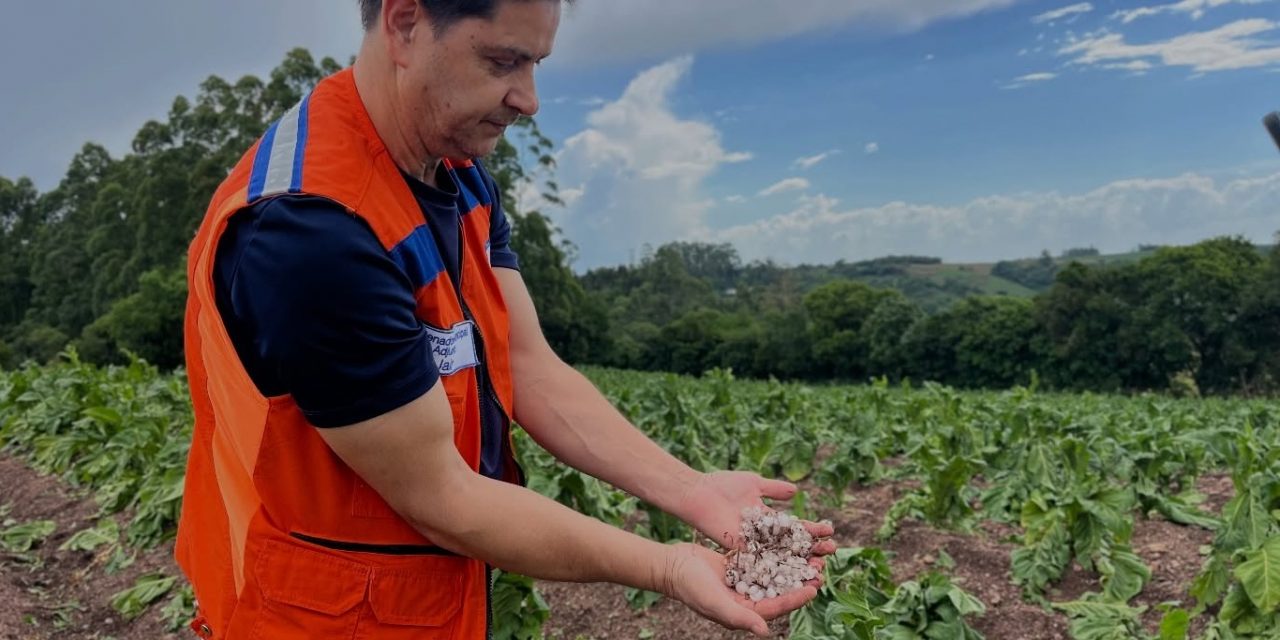 <span class="entry-title-primary">Granizo atinge dezenas de municípios, arrasa lavouras e deixa prejuízos</span> <h2 class="entry-subtitle">Temporais de granizo atingiram muitas cidades do Leste e do Nordeste gaúcho com danos principalmente na agricultura </h2>