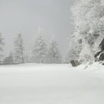 Onda de frio e neve incomum pode quebrar recordes de um século nos EUA