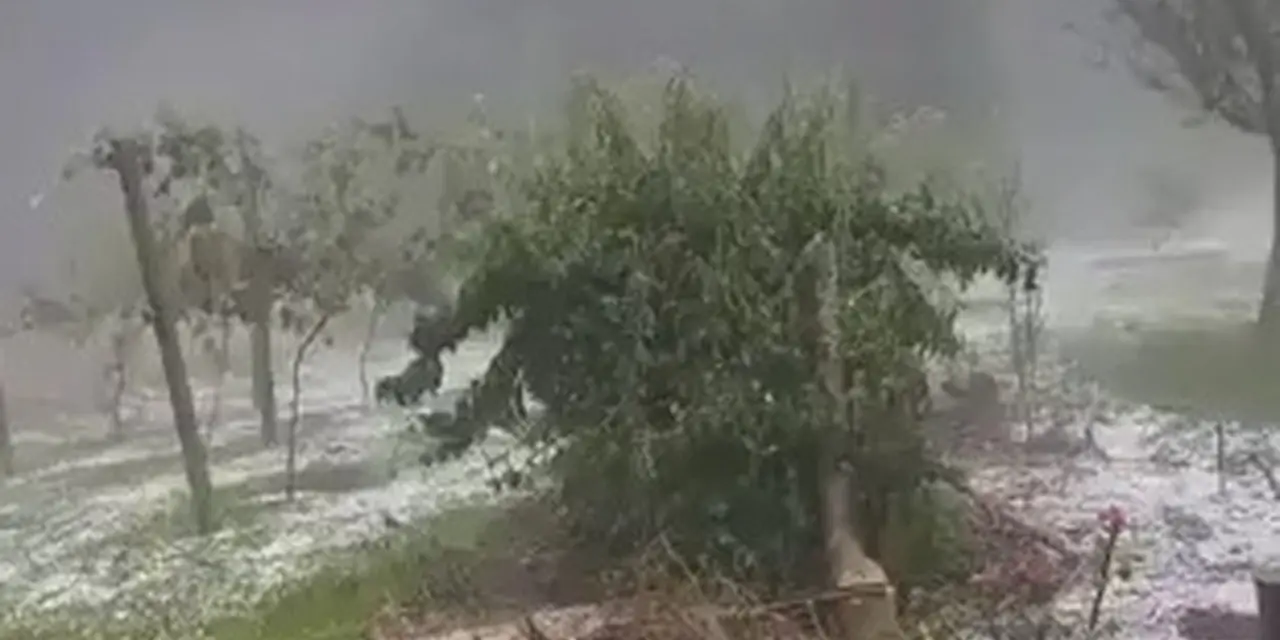 <span class="entry-title-primary">Após tornados, Paraná volta a sofrer com temporais de vento e granizo</span> <h2 class="entry-subtitle">Temporais com chuva forte, vendavais e granizo atingiram na tarde desta quarta-feira o Centro e o Oeste do Paraná </h2>