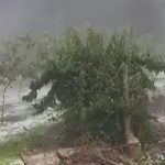 Após tornados, Paraná volta a sofrer com temporais de vento e granizo