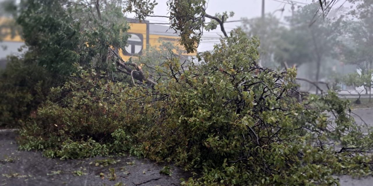 <span class="entry-title-primary">Violentos vendavais causam estragos e falta de luz no Paraguai</span> <h2 class="entry-subtitle">Frente fria chegou com violentos vendavais ao Paraguai e rajadas passaram de 100 km/h em Assunção e no interior do país </h2>