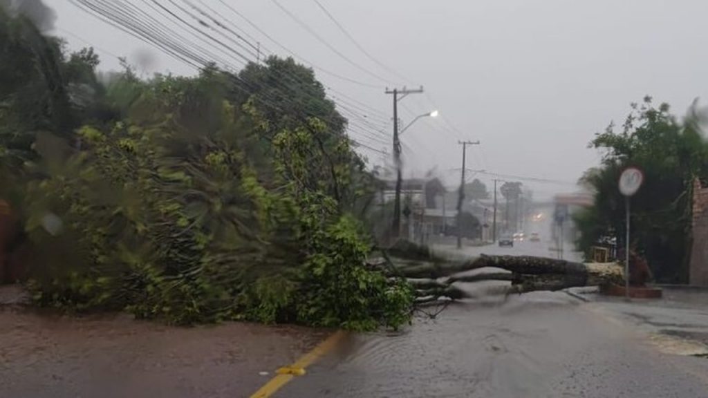 Vento de quase 100 km/h derruba árvores e causa estragos no Norte gaúcho