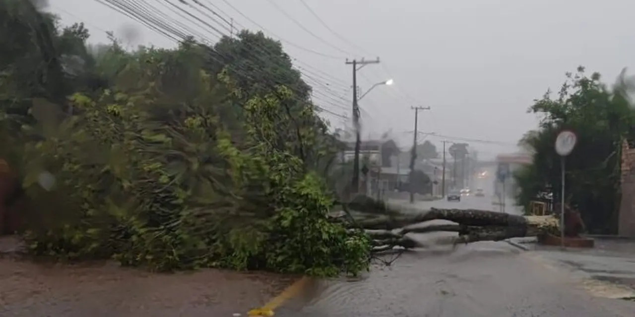 <span class="entry-title-primary">Vento de quase 100 km/h derruba árvores e causa estragos no Norte gaúcho</span> <h2 class="entry-subtitle">Vendavais foram registrados na tarde desta sexta-feira no Noroeste e no Norte do Rio Grande do Sul em diversas cidades </h2>