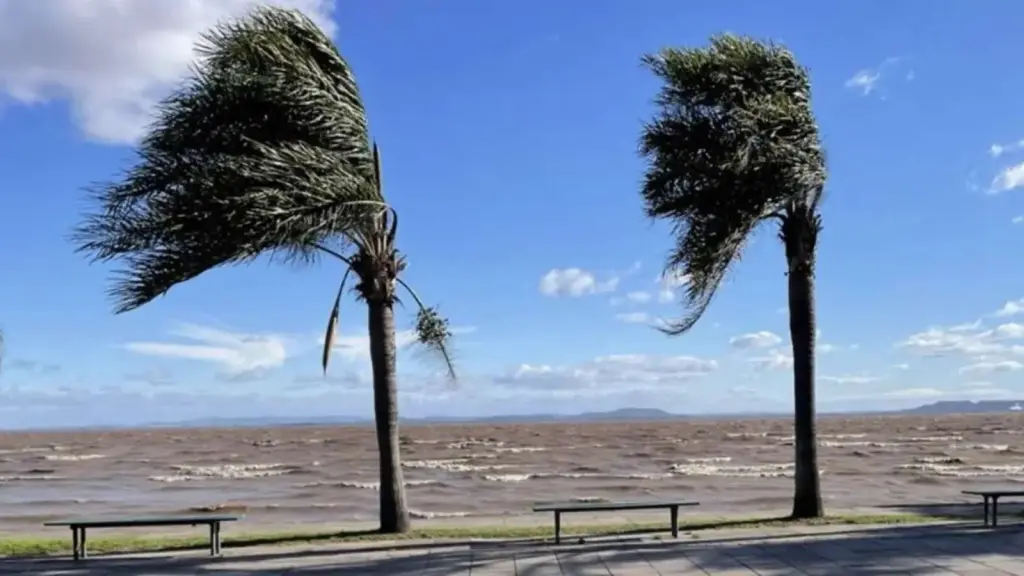 Frente fria já pode trazer vento forte dois dias antes de um intenso ciclone
