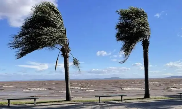 Frente fria já pode trazer vento forte dois dias antes de um intenso ciclone