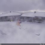 Natal com neve em pleno verão? Teve, na Austrália!
