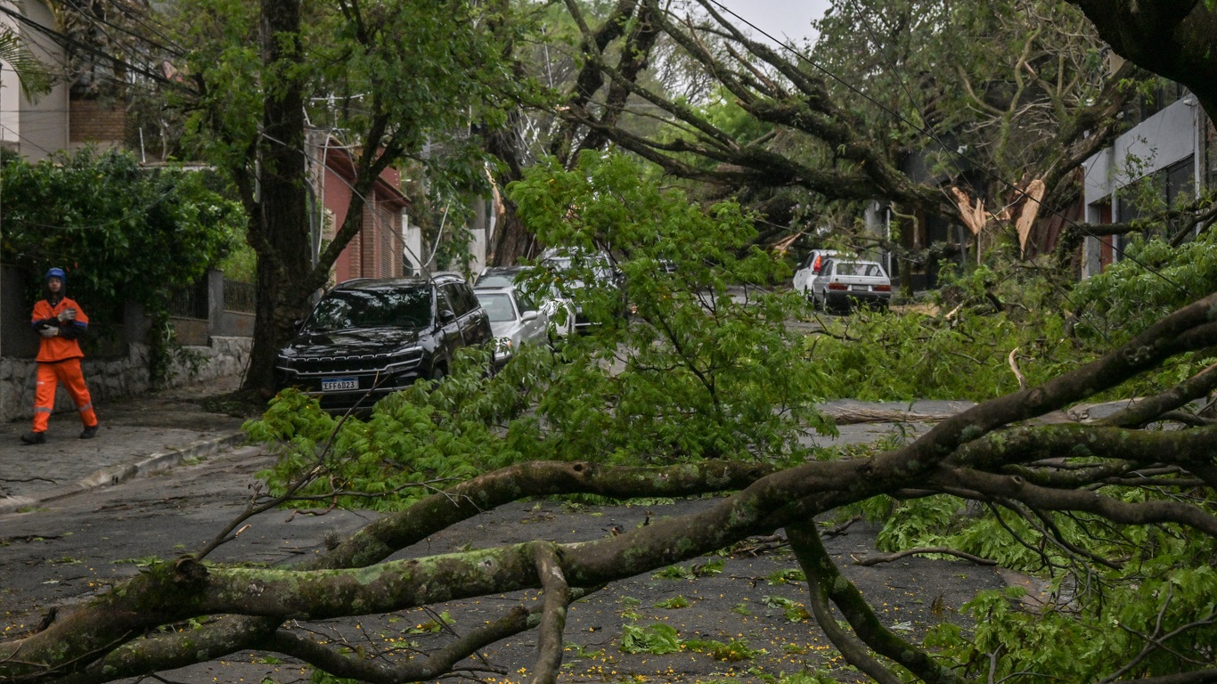 Vento por ciclone em São Paulo